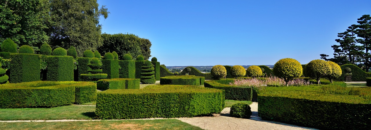 Sculpting with Topiary: A Beginner's Guide